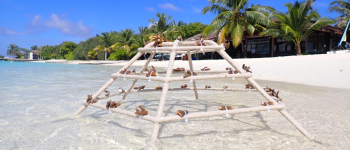 منتجع وسبا شيراتون المالديف يعزز خطط الاستدامة على الشواطيء المرجانية